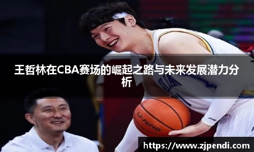 王哲林在CBA赛场的崛起之路与未来发展潜力分析